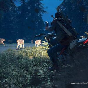 Days Gone (Special Edition) - Image 4